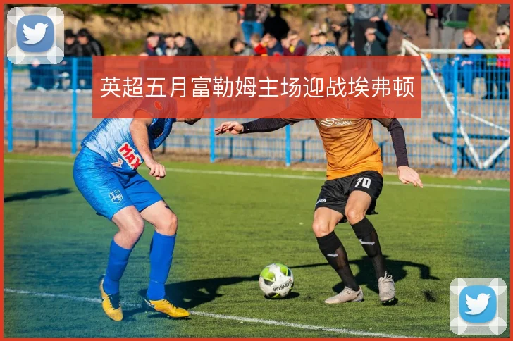 英超五月富勒姆主场迎战埃弗顿